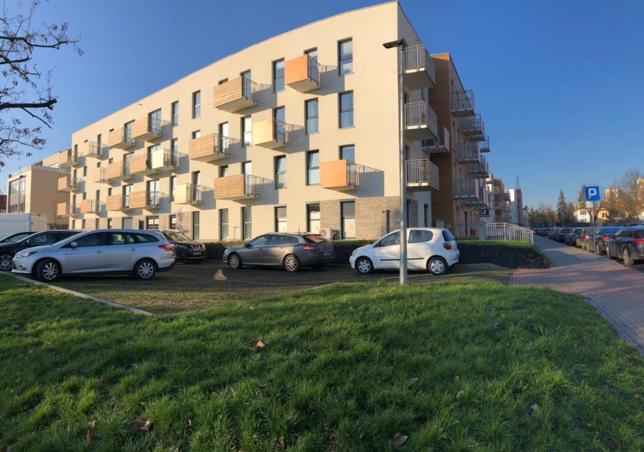 Gingerbread Apartment Stary Toruń 外观 照片